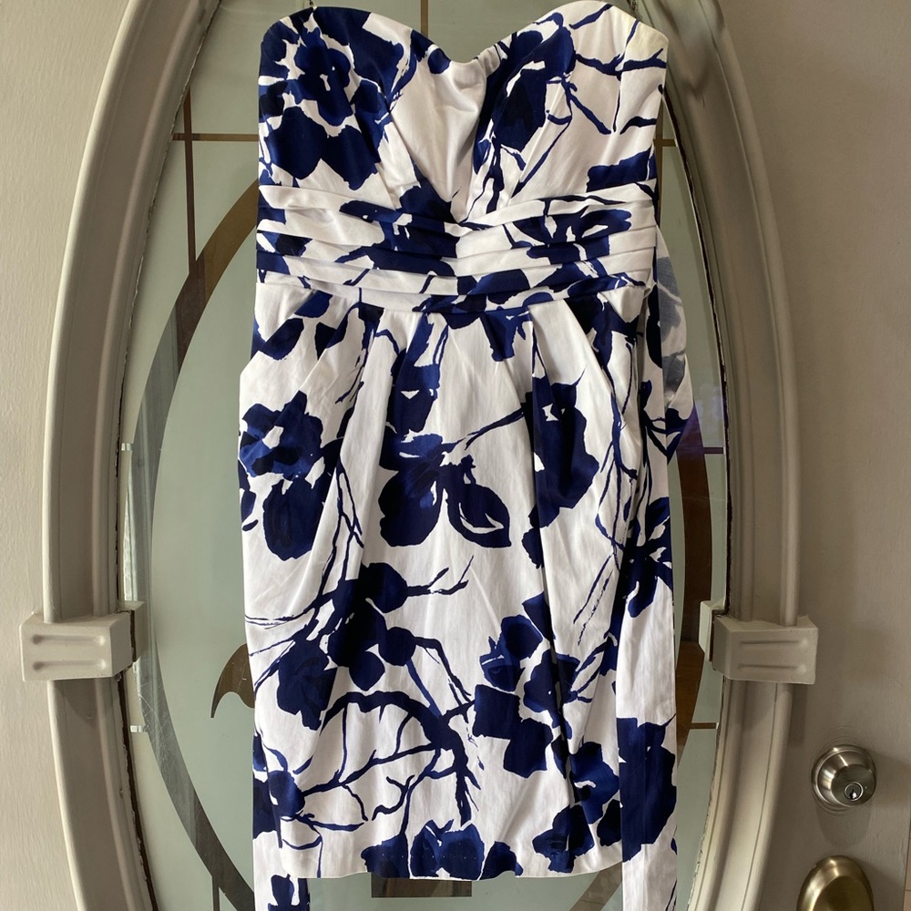 White, Black and Blue Dress